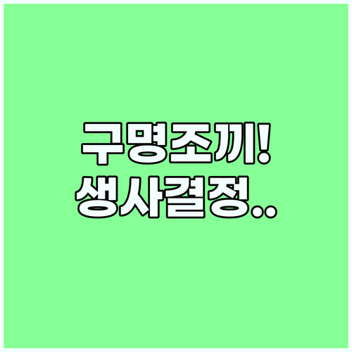 구명조끼 착용이 생사를 가르는 이유와 낚시 현장 필수 수칙