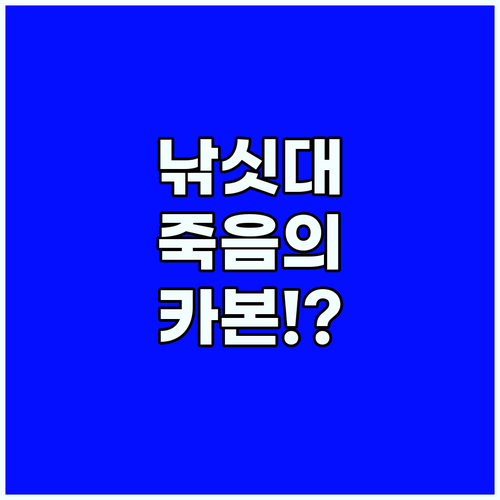 카본 낚싯대 감전 위험과 낙뢰 예방을 위한 행동 지침