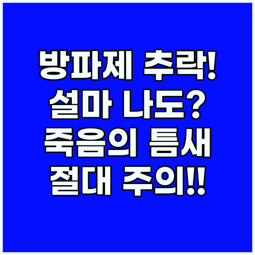 방파제 안전 수칙 미준수가 초래하는 치명적 추락 사고의 실체