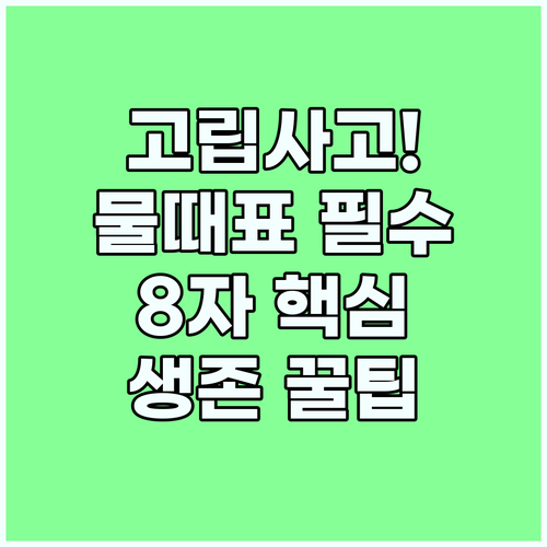 해양 고립 사고 예방을 위한 물때표 확인 습관