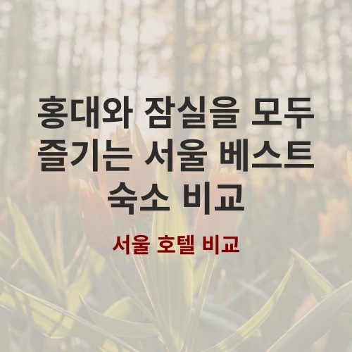 서울 여행 숙소 고민 끝 홍대와 잠실의 매력적인 선택지