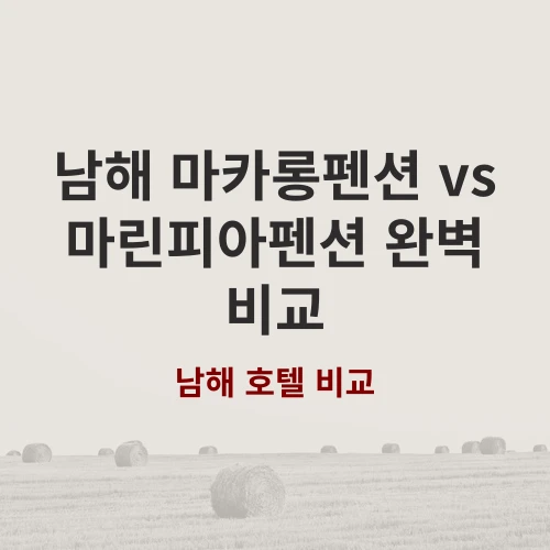 남해 마카롱펜션 vs 마린피아펜션 평점과 위치 낱낱이 파헤치기