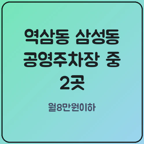 테헤란로 주차비 20만 원 낼 바엔 역삼동 삼성동 공영주차장 중 8만 원 이하 2곳 노리세요