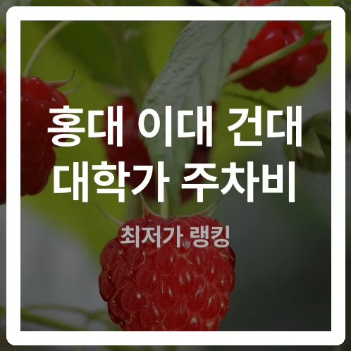 도보 3분 차이로 2배 폭탄? 홍대 이대 건대 주차비 절반 줄이는 반전 팩트