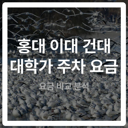 홍대, 이대, 건대 대학가 2시간 주차 요금 계산 비교